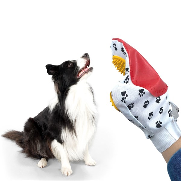 shoe image