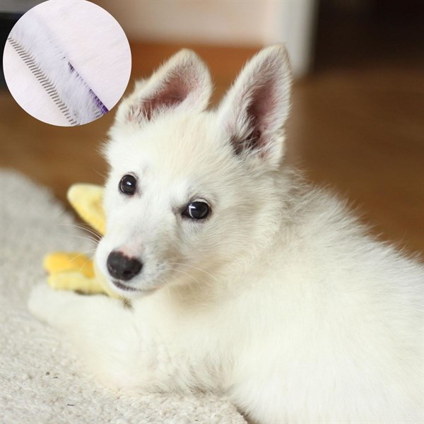 BUFFER® Pratik Plastik Kedi Köpek Temizlik Bakım Yıkama Aleti Fırçası Ve Köpek Tüyü Tarağı Seti